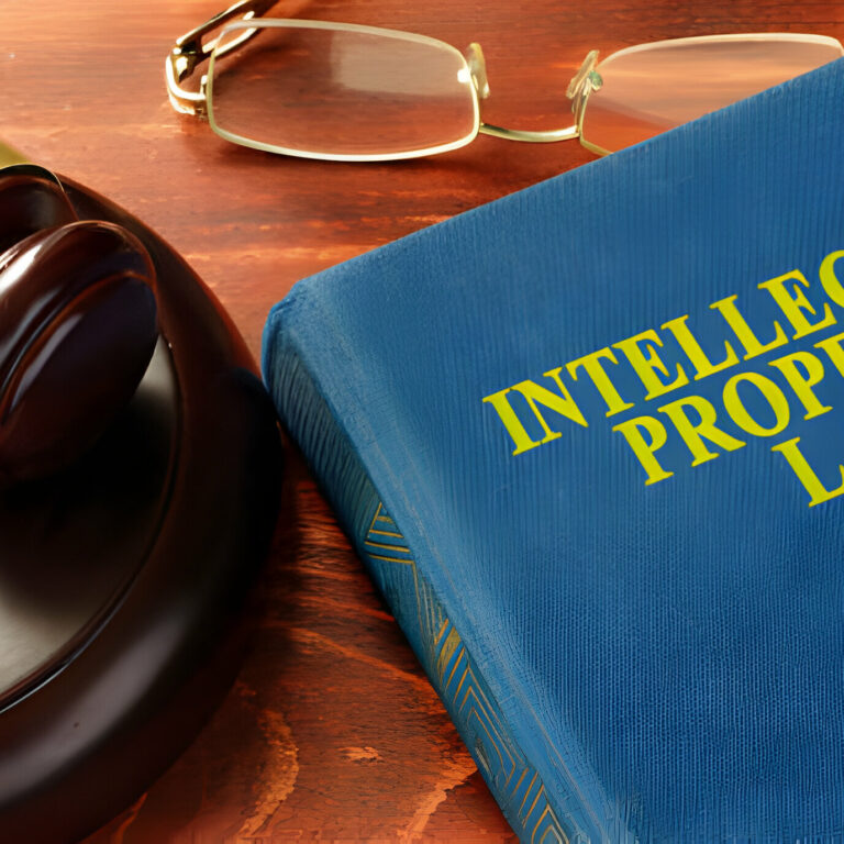Intellectual Property Rights